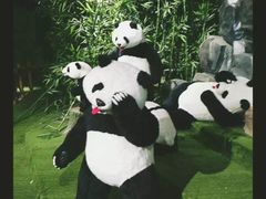 -成都泰迪熊博物馆