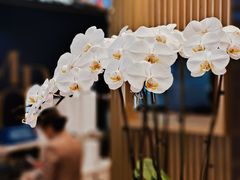 -远大购物中心(南岗店)