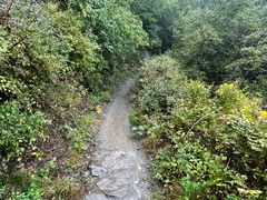 -阳台山自然风景区