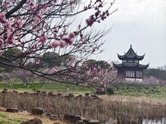 -上海海湾国家森林公园