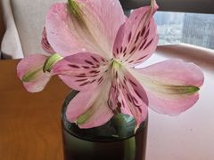 -苏州香格里拉大酒店