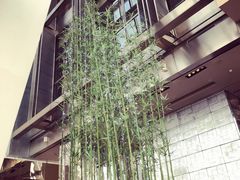 -上海柏悦酒店·世纪100牛排馆