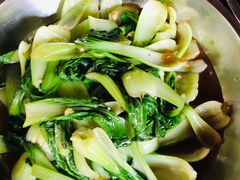 -松山湖南湖湾露营营地