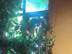 -庭苑饭香·生态餐厅(动物园店)