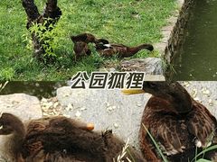 -三里河公园