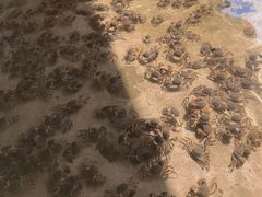 -东方华地城湿地温泉度假区