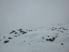 -亚拉雪山风景区
