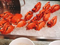 -上海明天广场JW万豪酒店