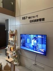 -R&Y·肌について日韩问题肌皮肤管理
