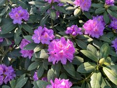 -名花谷生态庄园