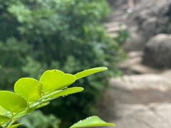 -灵岩山风景区