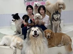-汪说·狗咖·拼豆·宠物周边DIY(旺城大厦店)