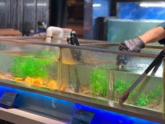 -V-ONE西雅图海鲜自助餐厅(仓山万达广场店)