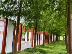 -春花秋色城市公园