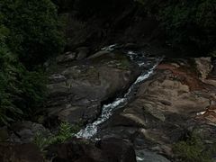 -广州白江湖森林公园