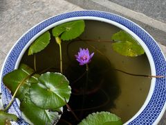 -西安市广仁寺