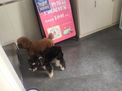 -宠颐生宠物医院·犬猫全科·皮肤科(商业街店)