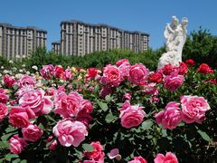 -大兴世界月季主题园