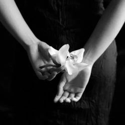 点击看大图 -Y+瑜伽会所