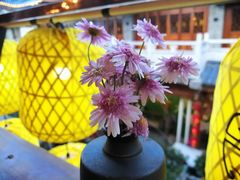 -嘉华鲜花饼(大理元帅府店)