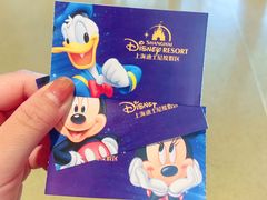 -上海迪士尼度假区