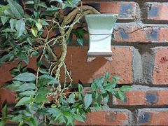 -罗浮山·罗园农庄