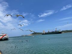 -海驴岛(荣成市)