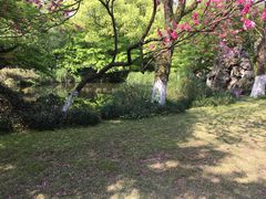 -素清香(解放路店)
