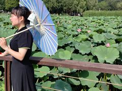 -前关湿地公园