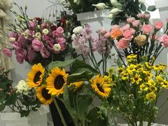 -爱丽丝牛排西餐厅(光谷步行街店)