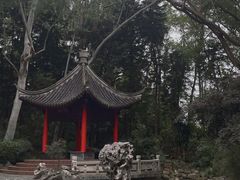 -深圳国际园林花卉博览园