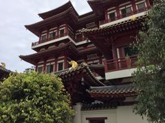 -新加坡佛牙寺龙华院