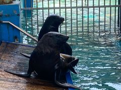 -成都浩海立方海洋公园