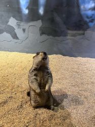 -酷嗒动物文化乐园(cutezoo西溪乐天城店)