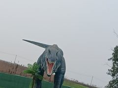 -空港花田景区