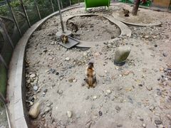 -成都欢乐谷
