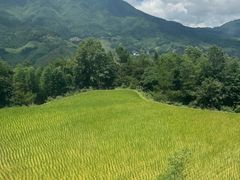 -龙脊梯田