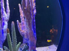 -欢乐海岸海洋奇梦馆