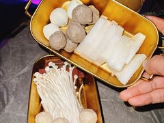 -Darling Queen·Mini·Live·House