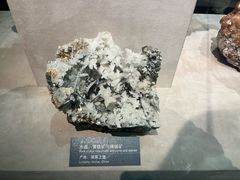 -中国地质博物馆