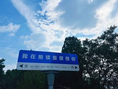 -抱犊崮国家森林公园