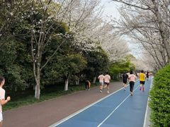 -龙湖杭州滨江天街