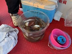 -小猫钓鱼海钓俱乐部(椰梦长廊店)