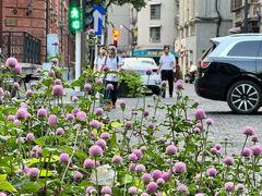 -飞马旅黎黄陂路文旅街区