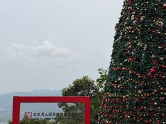 -三亚亚龙湾人间天堂鸟巢度假村