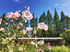 -前小桔亲子创意农场·草莓采摘·露营烧烤