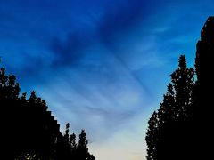 -味多美蛋糕(阜成门店)