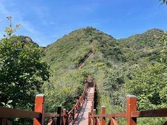 -大岭沟猕猴桃谷风景区