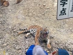 -栾川竹海野生动物园