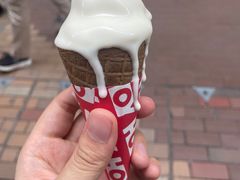 -富豪雪糕车流动点(尖沙咀店)